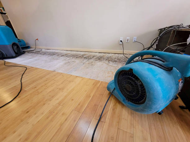 Professional Structural Drying technician working in Brentwood, NY